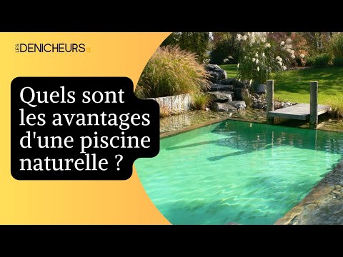 Vidéo : construction d'une baignade écologique