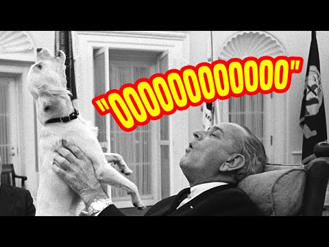 President Johnson and his dog Yuki - Recording Stars