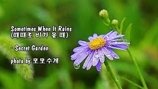 Sometimes When It Rains (때때로 비가 올 때)/ Secret Garden &amp; photo by 모모수계
