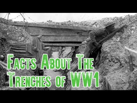 Trench Warfare Facts | The Trenches of WW1