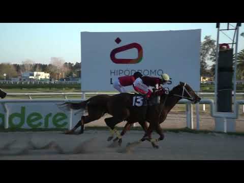 230811 c09 - MARACUYA -  HIPODROMO LAS PIEDRAS