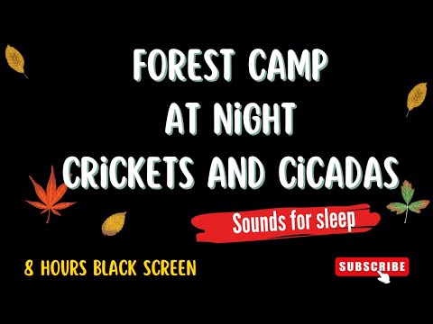 FOREST CAMP AT NIGHT I 8 Hours Crickets, Cicadas, Insects Sounds I  Black Screen For Sleep