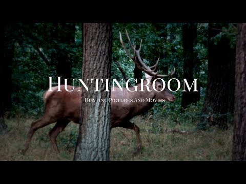 Hirschbrunft in Osteuropa - Coming soon - (Official Trailer 2018)