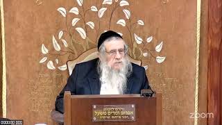 הרה"ג הרב וועכטר שליט"א י"ז טבת תשפ"ה - ליקוטי שיחות חלק ט"ז שיחה כ" ד טבת - חלק ה' (הרב אברהם מנחם מענדל וכטר) - התמונה מוצגת ישירות מתוך אתר האינטרנט יוטיוב. זכויות היוצרים בתמונה שייכות ליוצרה. קישור קרדיט למקור התוכן נמצא בתוך דף הסרטון