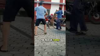 This Leopard Rescue Went Wrong