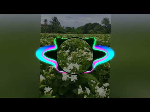 Dj Ifaz - Flower's (Official Audio) 2022 [Rapper Nazmul]