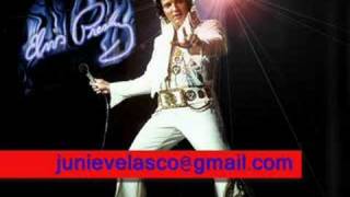Elvis Presley - There Goes My Everything