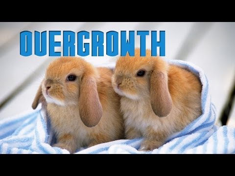 How to change your characters size-Overgrowth Tutorial