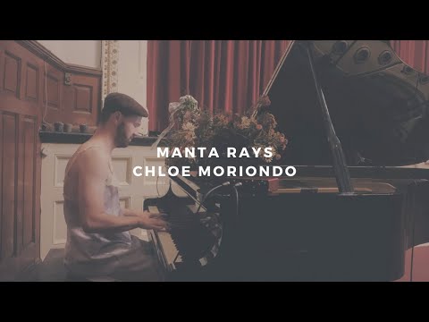 manta rays: chloe moriondo (piano rendition by david ross lawn)