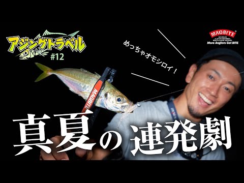 《 アジングトラベル vol.12》爆釣アジング！ 簡単ドリフト連発法!