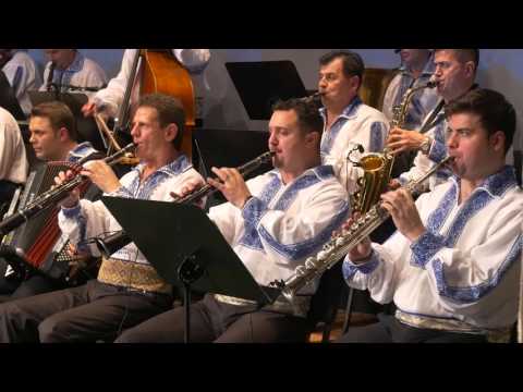 Petrică Miulescu Irimică și Orchestra Ansamblul Timișul - Am dat pușca la fecior LIVE