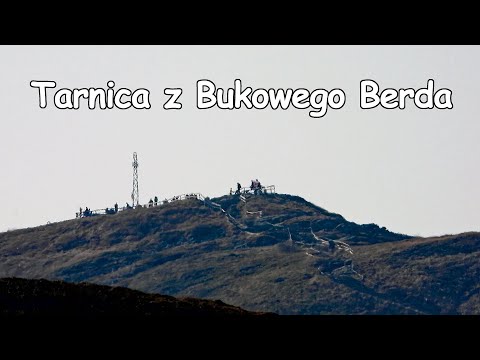 Tarnica z Bukowego Berda / MegaZoom