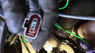 Co oznacza 00561 Great Wall