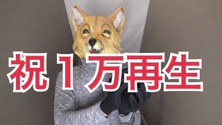 祝！１万再生超えました！