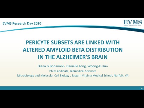 Thumbnail image of video presentation for Pericyte Subsets are Linked with altered amyloid beta distribution in the Alzheimer's brain