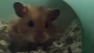 Welcome to my YouTube channel!