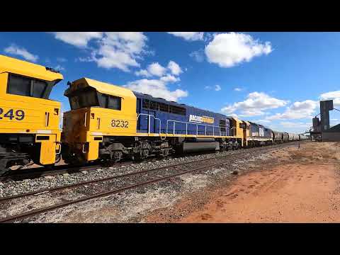 8220, 8249, 8232 & 8146 at Bogan Gate NSW  1525hrs Fri 01st Apr 2022