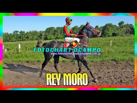 REY MORO - La Leonesa - Chaco 10/03/2024
