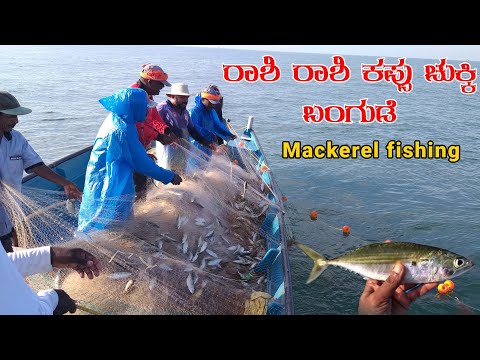 Ultimate Fishing Challenge:Mackerel fishing Expedition!