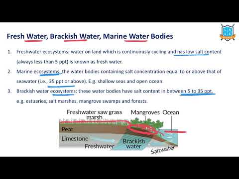 What is Fresh Water - Brackish Water - Marine Water ? || Brackish Water అంటే ఏమిటి?