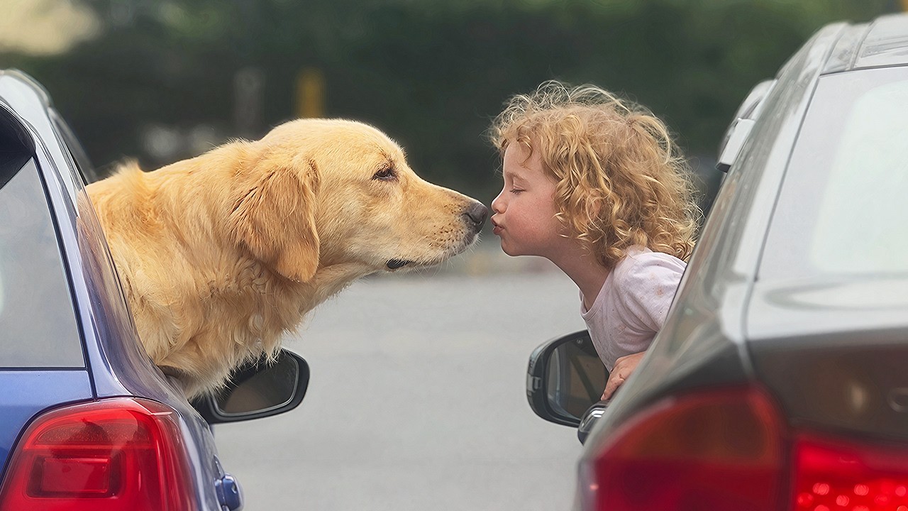 This Dog wants to order...😂The Funniest Dog Moment Ever!