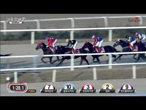 President's Cup 2014 - Gyeongbudaero