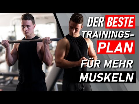 Sofort Muskeln aufbauen mit diesem Trainingsplan!