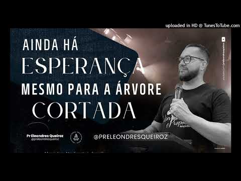 Devocional Ainda ha esperança para árvore 24 Jan 23