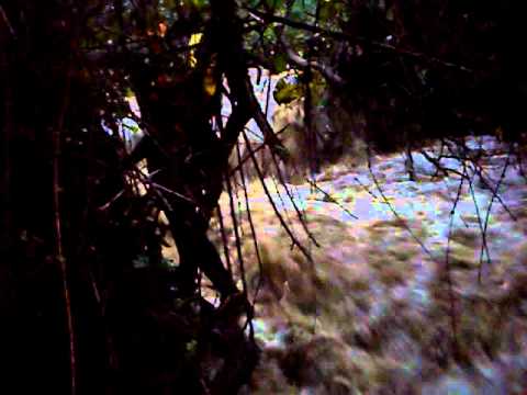 Barranco Sima del Diablo Conmigente 2011-11-19m