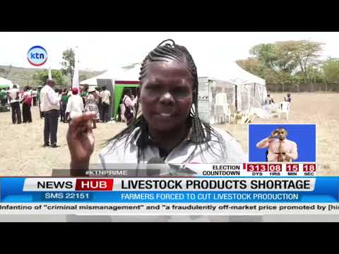 Rising Feed Costs Threaten Livestock Production and Future Supply of Milk and Eggs
