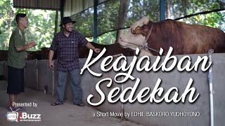 Download lagu KEAJAIBAN SEDEKAH - Film Pendek (Short Movie) | Spesial Idul Adha mp3 Download lagu KEAJAIBAN SEDEKAH - Film Pendek (Short Movie) | Spesial Idul Adha mp3