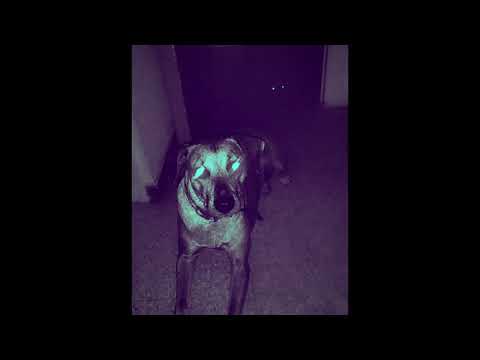 Recobylatorio.  (Vol. I)