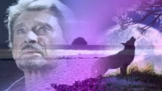 Johnny  Hallyday  -   Prends ma vie ( pour mon ami Robert )
