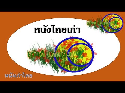 คลิกเพื่อดูคลิปวิดีโอ