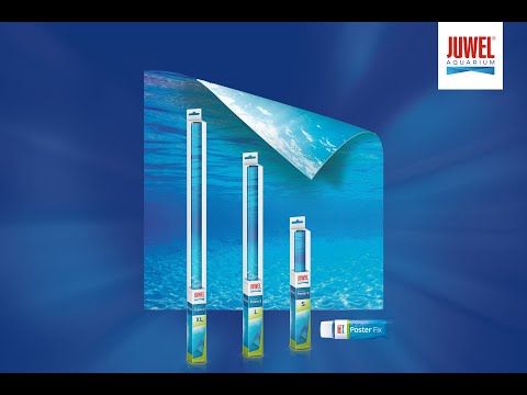 Watch Video on YouTube