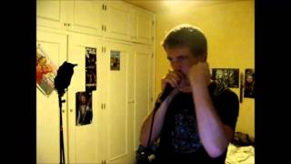 Omnium Gatherum  -  Who could say -  Vocal Cover