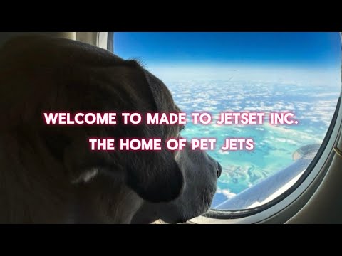 Welcome To Made To Jetset Inc. & Pet Jets!