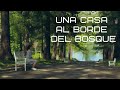 A Quien No Haya Visto Esta Película Se La RECOMIENDO UNA CASA AL BORDE DEL BOSQUE
