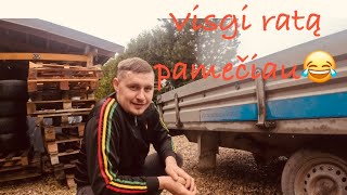 KAIMO VLOG#35 Pamečiau ratą. Gaminu viščiukų aptvarą