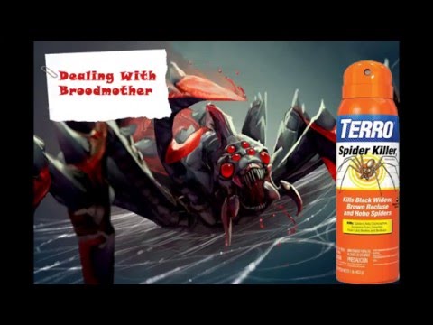 How to counter Broodmother Dota 2 counterpicks