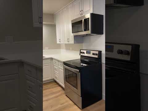 1648 Larch Street - Video 2 of 2