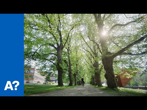 Welcome to Aalto University campus!