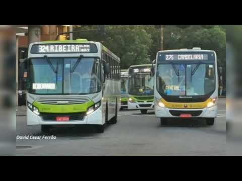 ONIBUS RJ E SP -WORD BUS