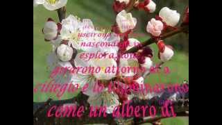 Il risveglio della Primavera