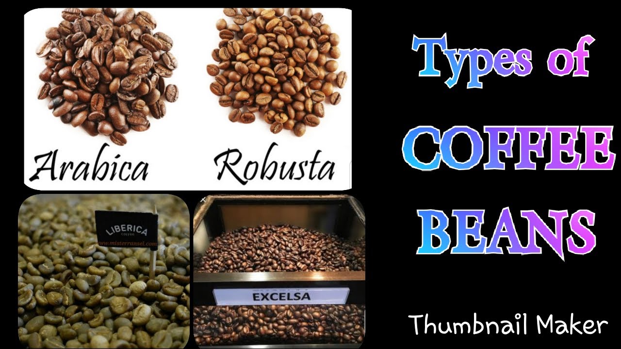 What are the different of ARABICA,ROBUSTA,EXCELSA,AND LIBERICA COFFEE BEANSYOU MUST KNOW THIS!