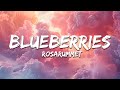 Rosarummet Blueberries