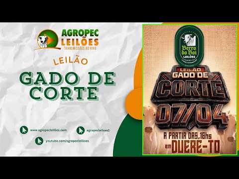 Agropecleiloes LEILÃO GADO DE CORTE | BERRO DO BOI LEILÕES - DUERÉ -TO - 07/04/2026.