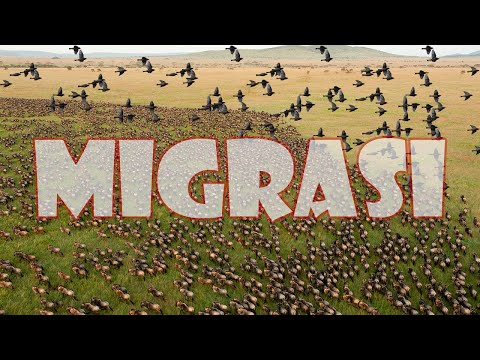 , title : 'Migrasi Hewan dengan Jarak Terjauh dan Koloni Terbanyak'