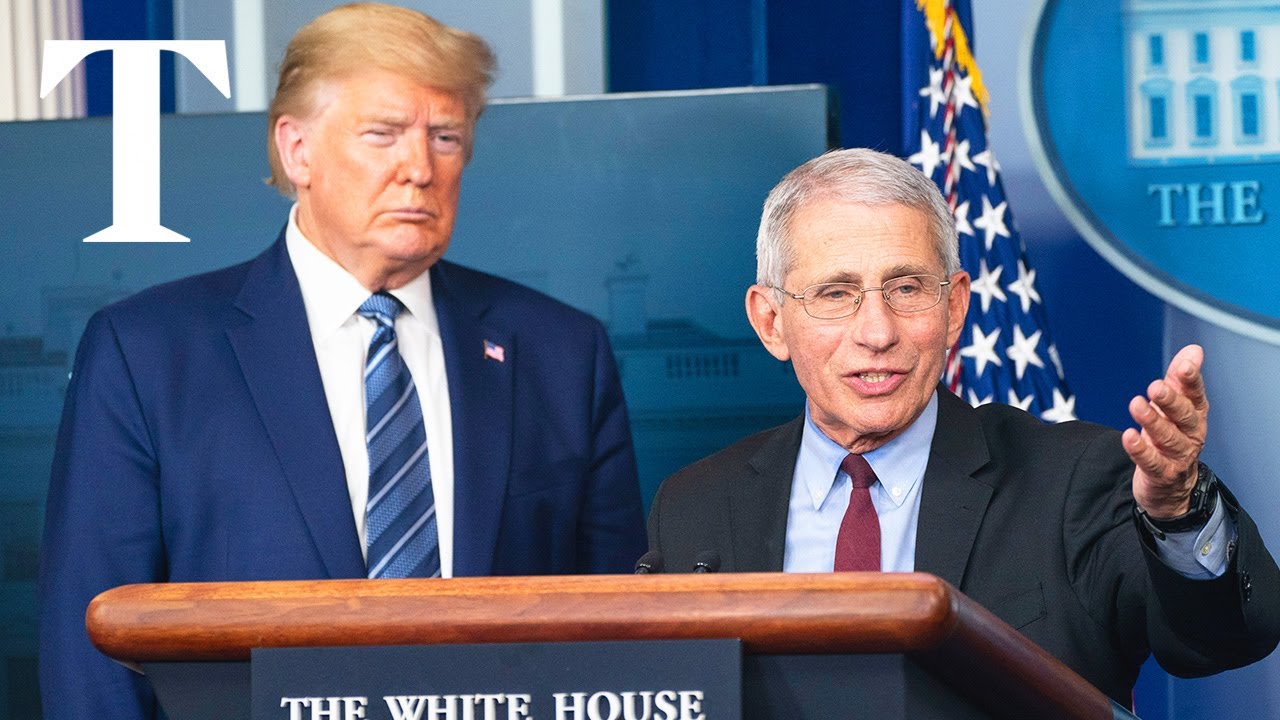 Trump strips Fauci of security detail