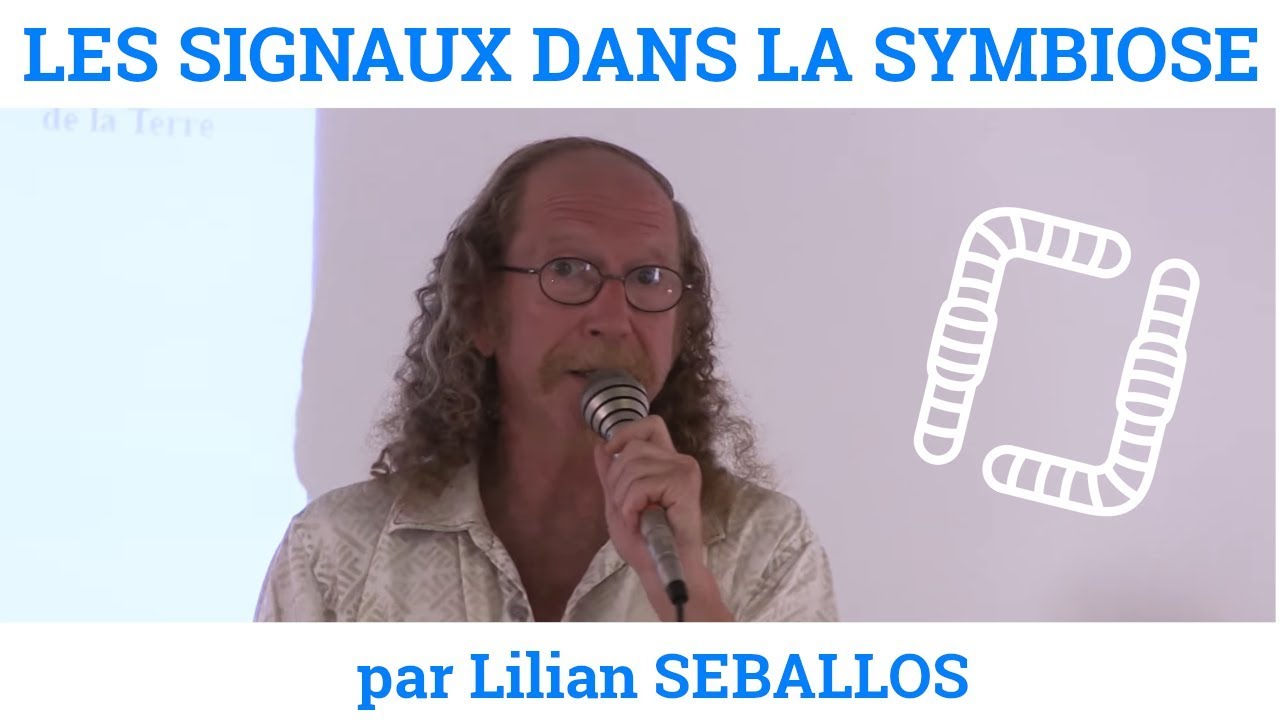 Fixation d'azote par les légumineuses - Lillian SEBALLOS